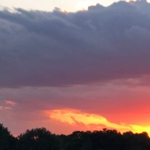 Meet your Posher, Darin